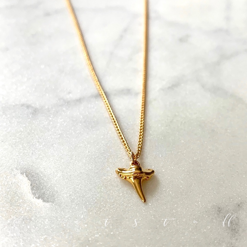 Petite Shark Tooth Long Necklace